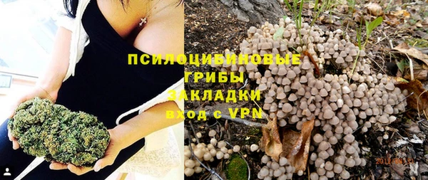 спиды Протвино