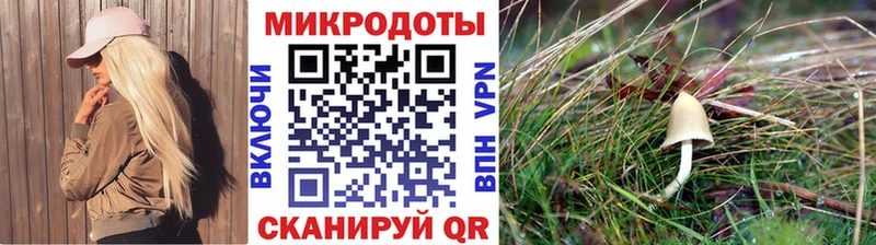 дарк нет официальный сайт  Горбатов  Галлюциногенные грибы мицелий  цена наркотик 
