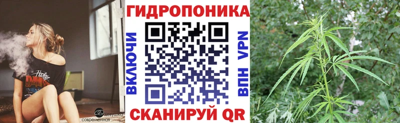 Конопля Amnesia  Горбатов 
